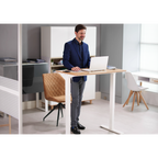 Single Motor Ultra-Quiet Adjustable-Height Electric Sit/Stand Desk - Oak Desktop DH68