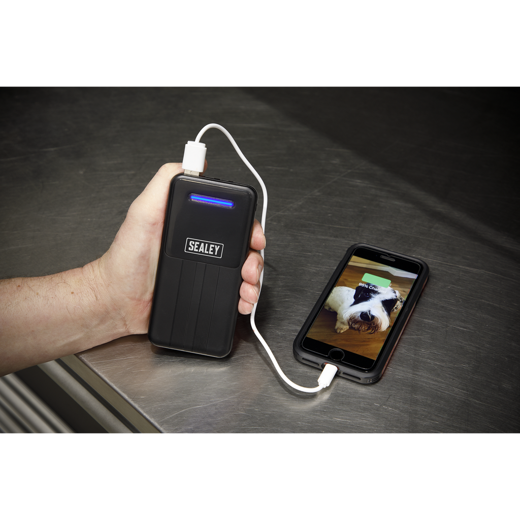 Portable Power Bank 10W 20,000mAh SPB102