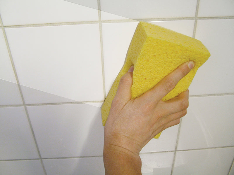 Cellulose Sponge                                                                