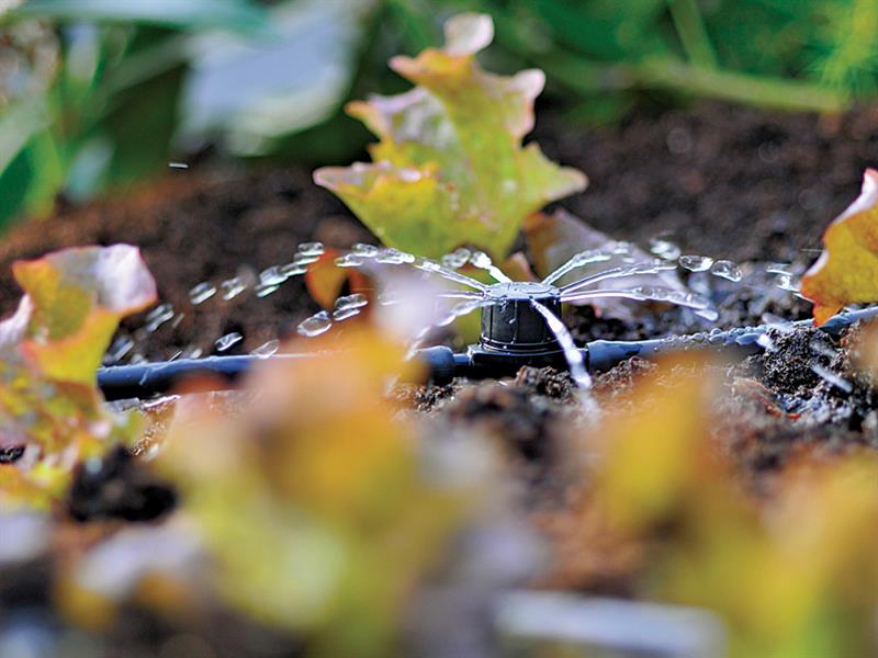 2786 In Line Adjustable Mini Sprinkler 4mm (Pack 12)                            