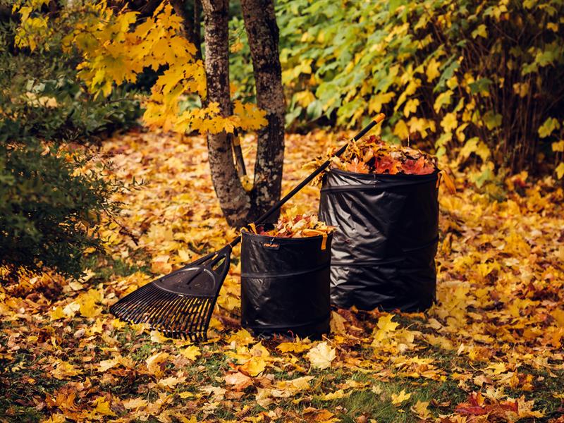 Solid™ Popup Garden Bag 56 litre                                                